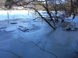 Ruwer zugefroren 2012